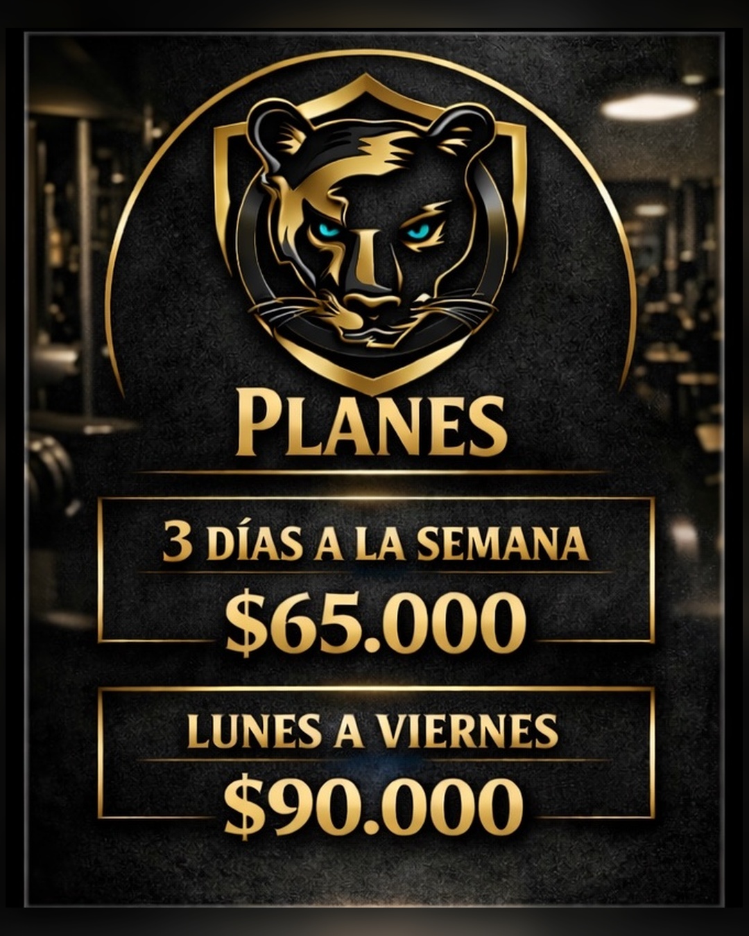 Zona de entrenamiento